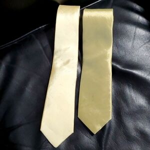 🎄5/$30🎄2 Men's Silk Ties